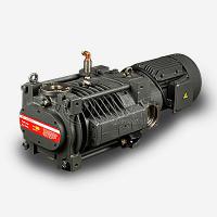 Roots vacuum pump